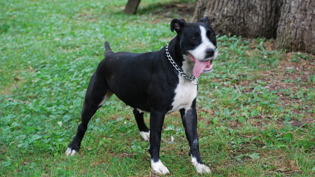 Photo of Others in Albrightsville