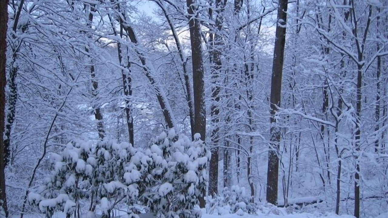 Photo of Others in Albrightsville