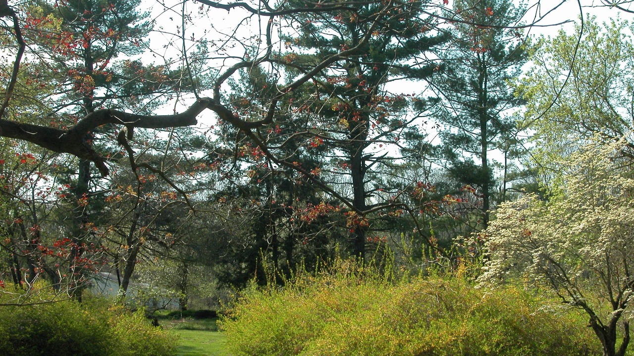 Photo of Others in New Hope