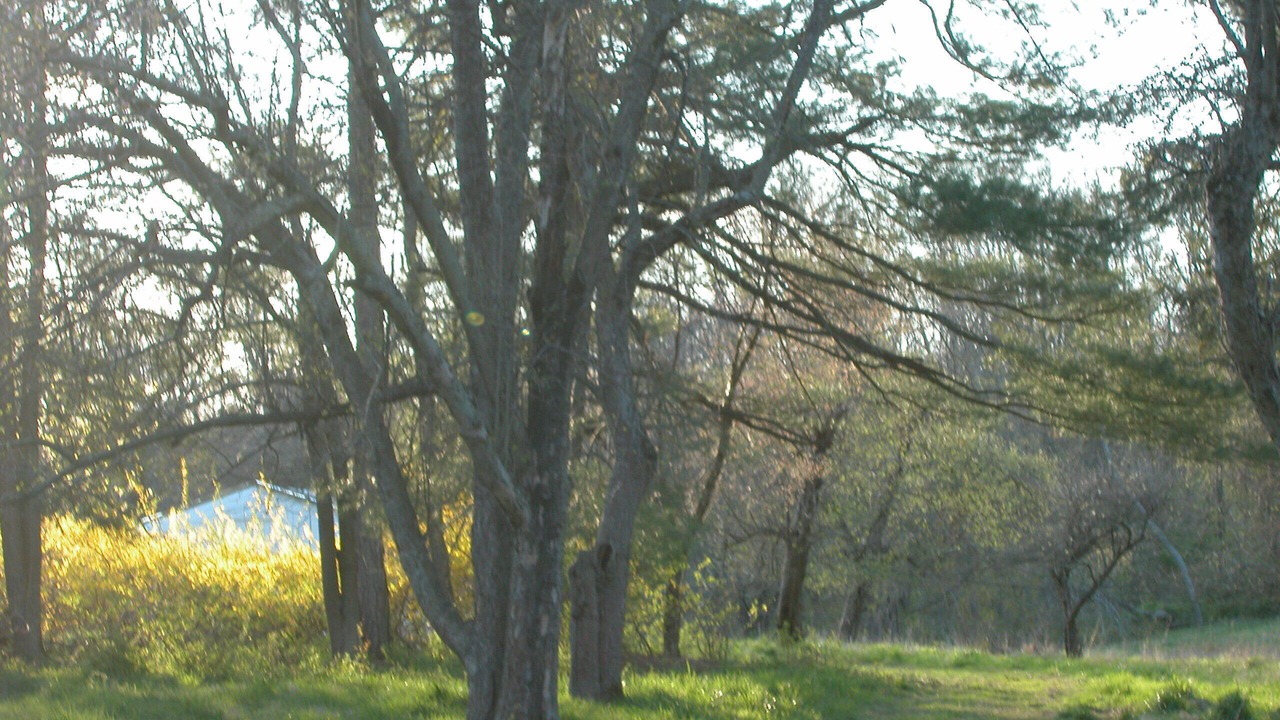 Photo of Others in New Hope