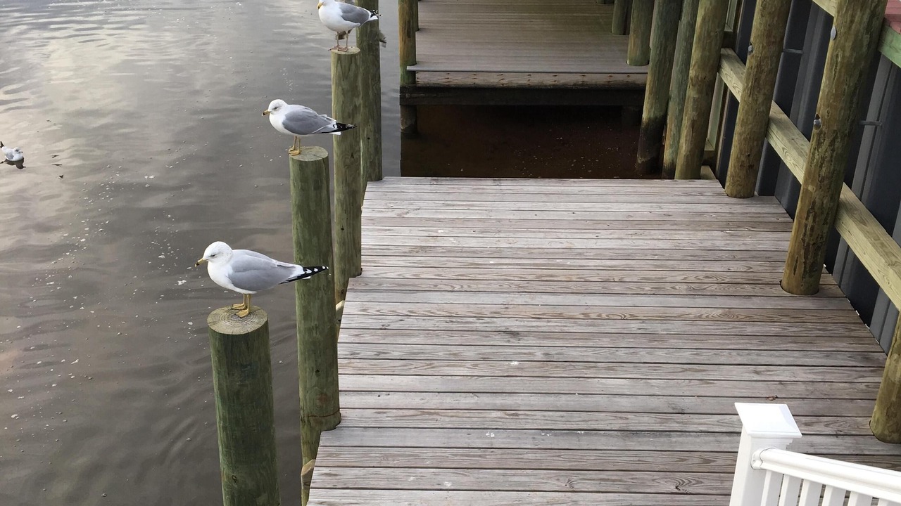 Photo of Others in Beach Haven West