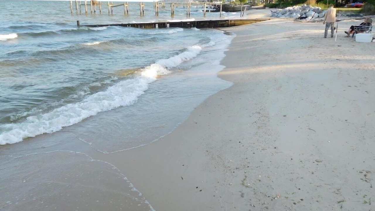 Photo of Others in Point Lookout