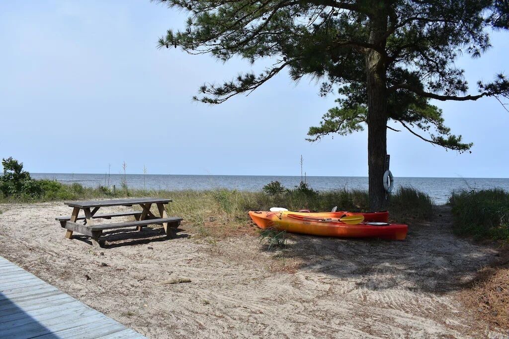 Photo of Others in Point Lookout