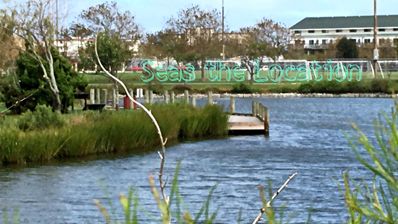 Photo of Outdoor in North Ocean City