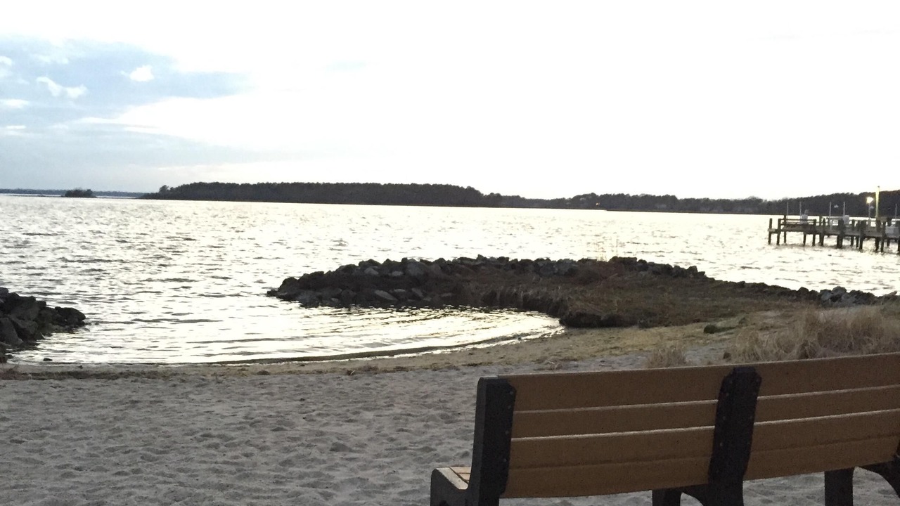 Photo of Others in Dewey Beach