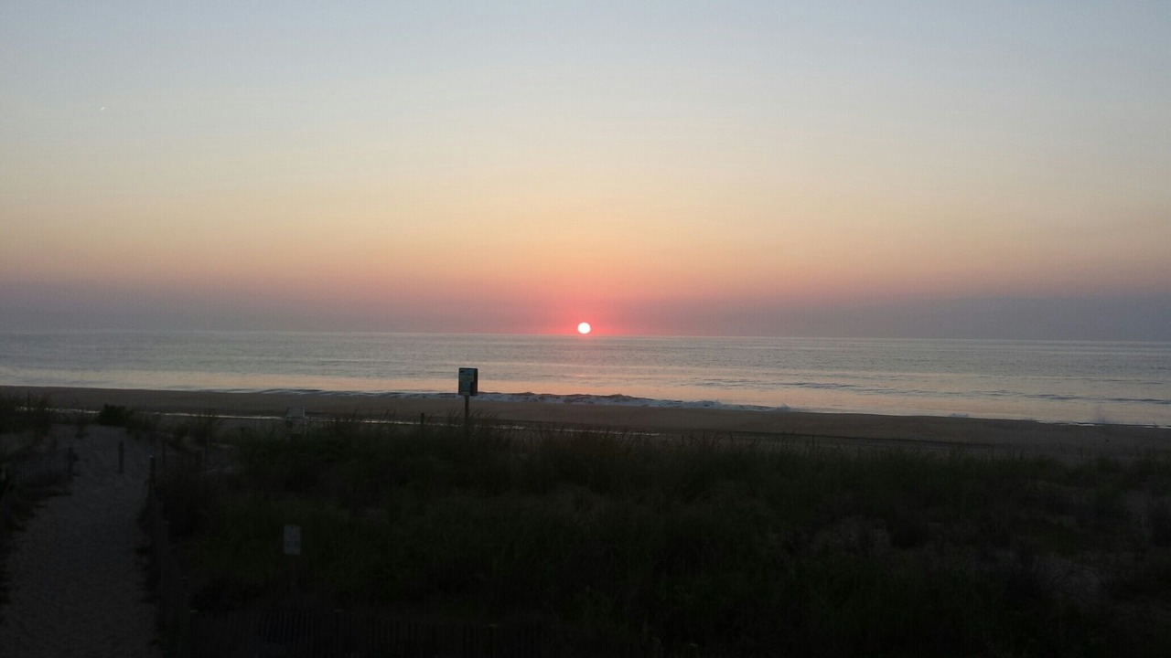 Photo of Others in North Ocean City