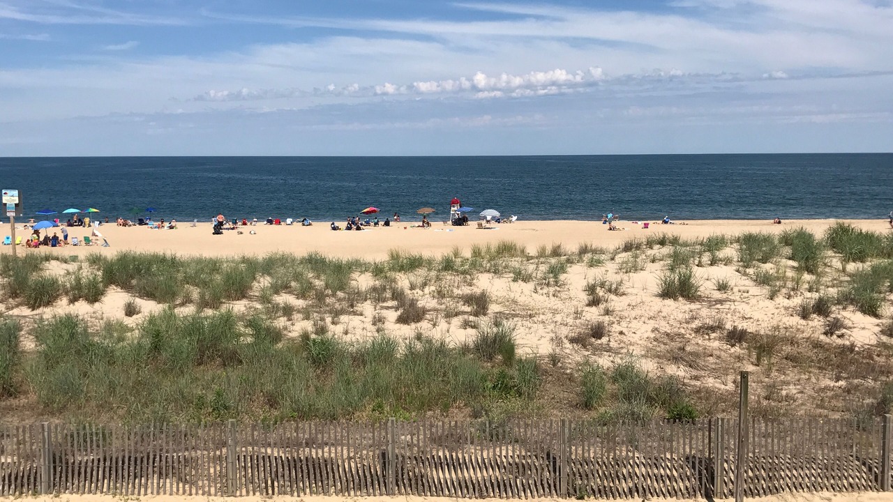 Photo of Others in North Ocean City