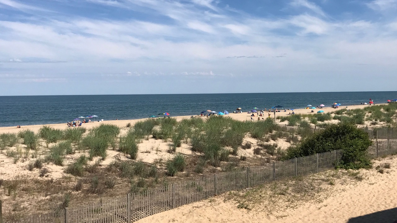 Photo of Others in North Ocean City