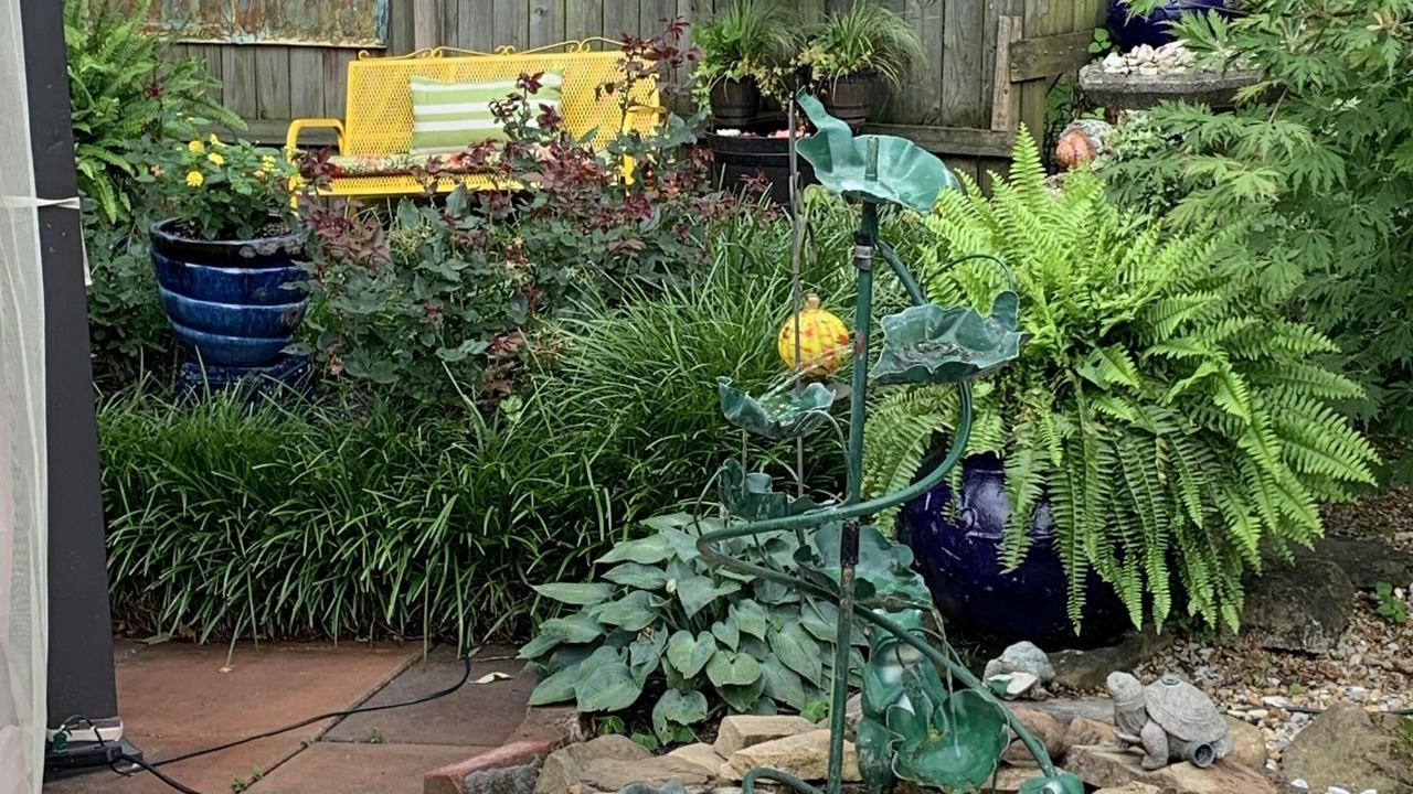 Photo of Outdoor in St. Elmo Improvement League