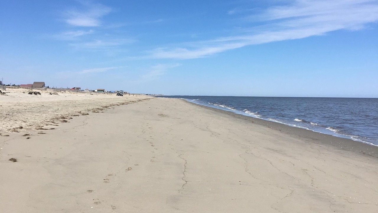 Photo of Others in Broadkill Beach