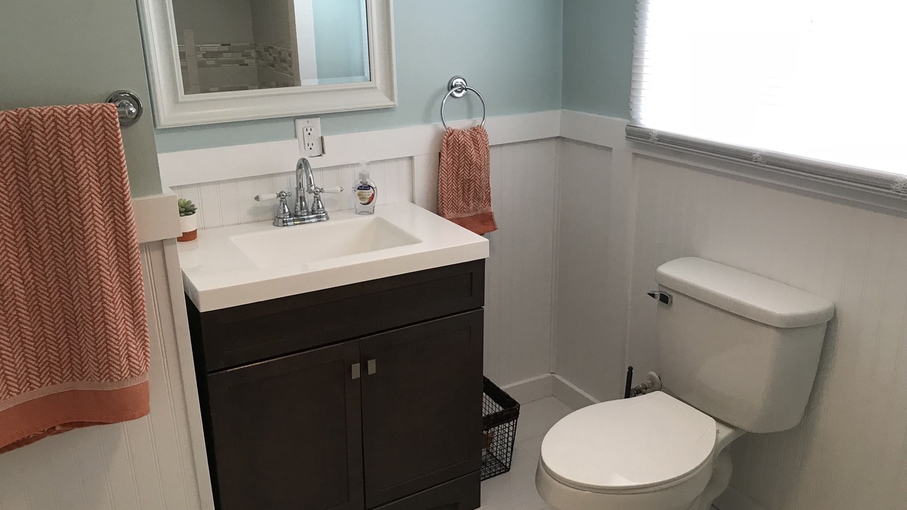 Photo of Bathroom in Broadkill Beach
