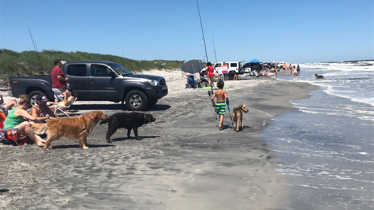 Photo of Others in Brigantine