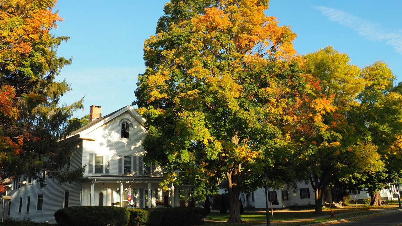 Photo of Outdoor in Lee