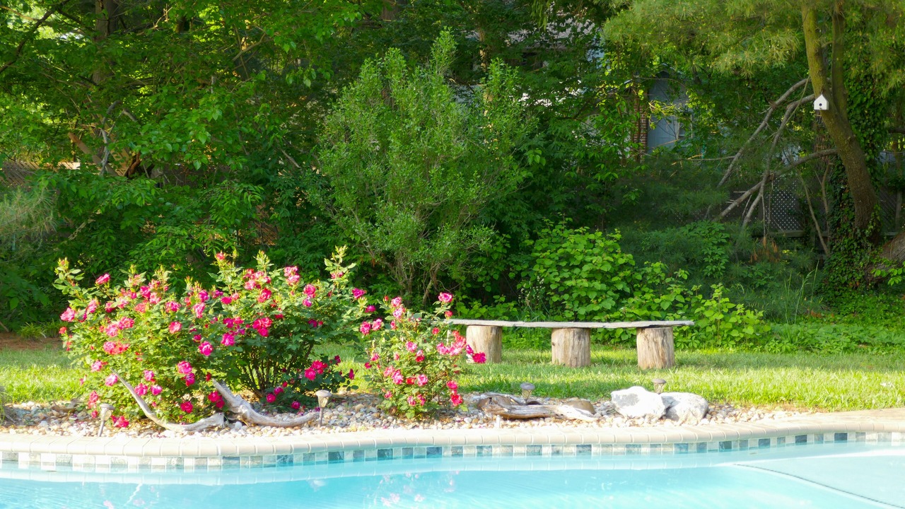 Photo of Outdoor in Unionville
