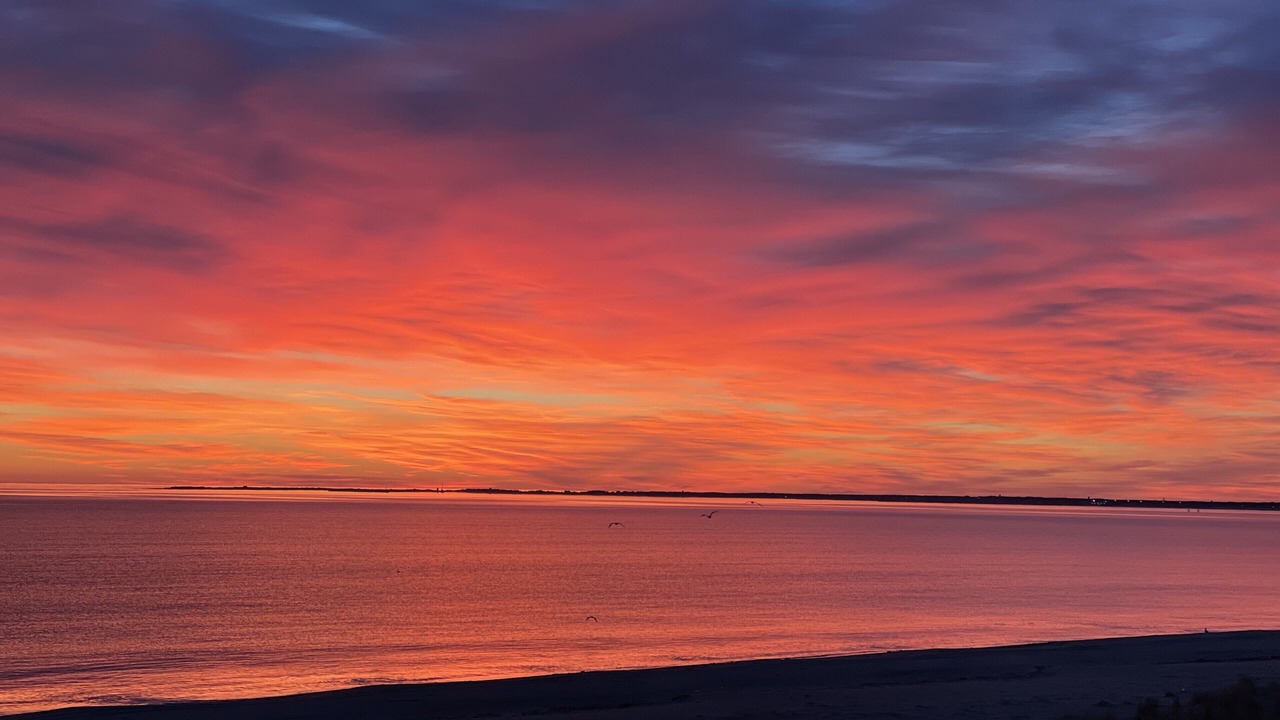 Photo of Outdoor in Broadkill Beach