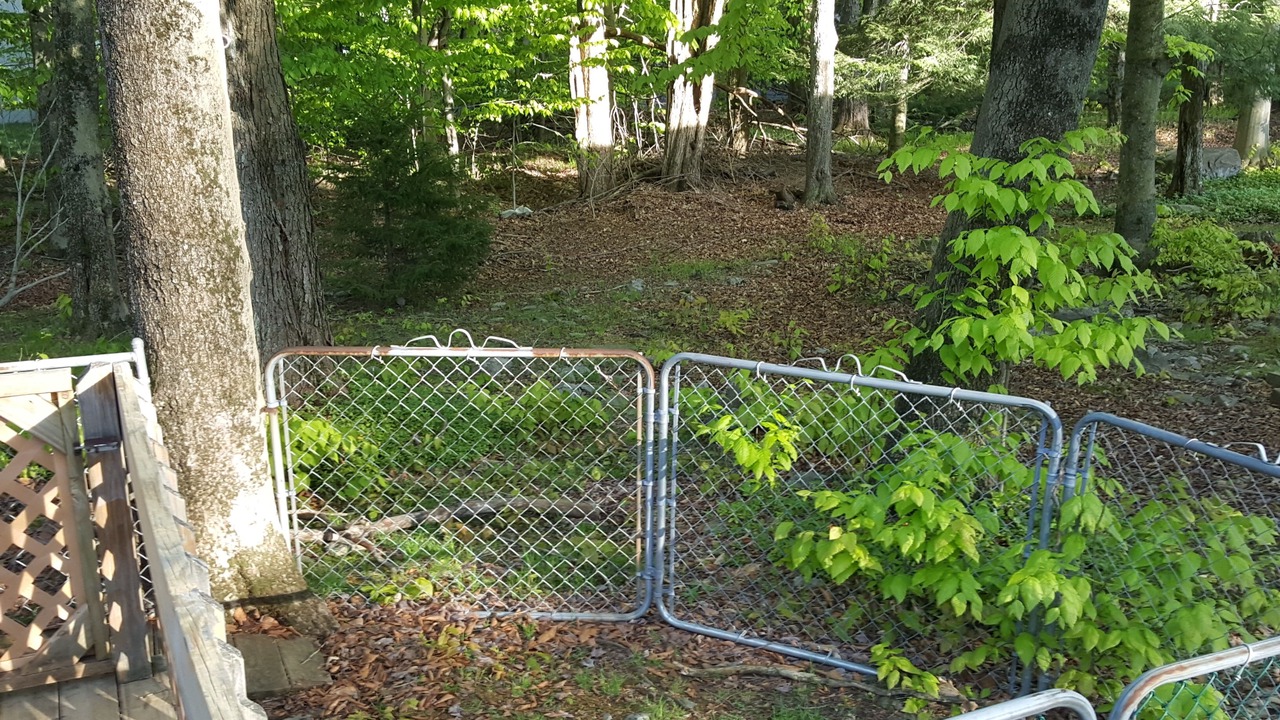 Photo of Outdoor in Tobyhanna