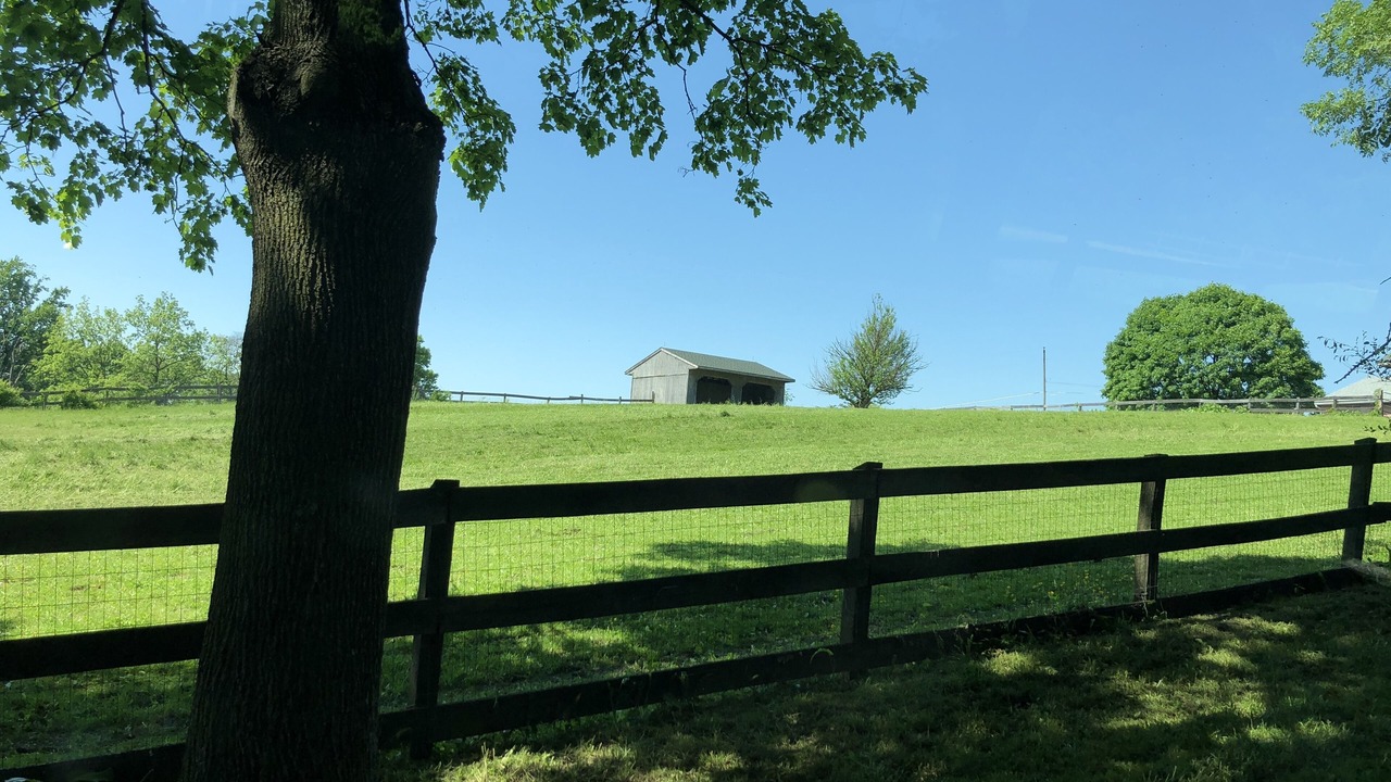 Photo of Outdoor in Sinking Spring