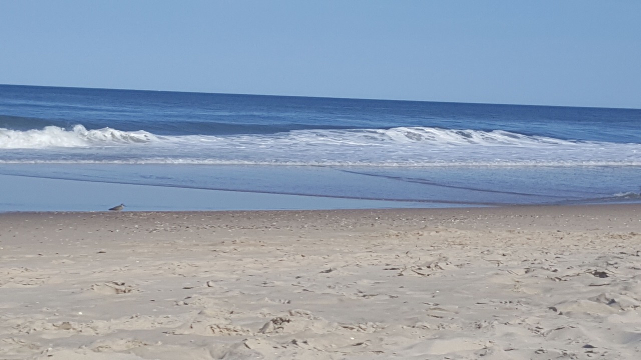 Photo of Others in Bethany Beach