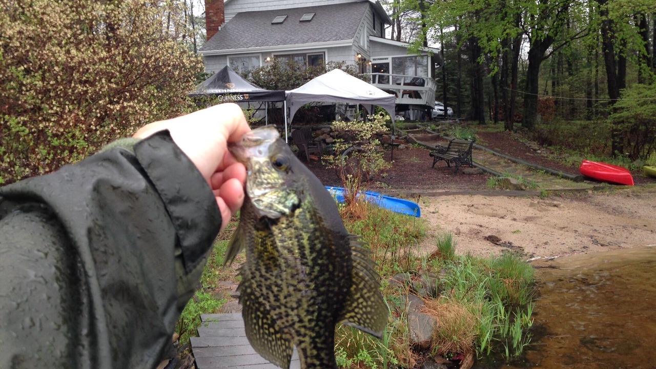 Photo of Others in Gouldsboro
