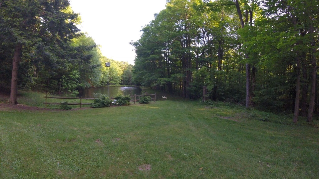 Photo of Outdoor in Champion