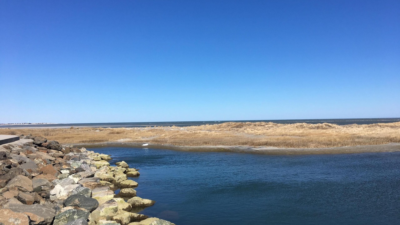 Photo of Others in Wildwood Crest