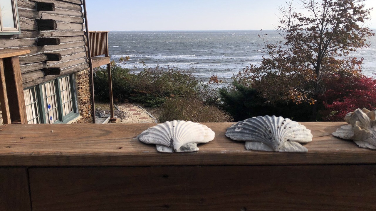 Photo of Outdoor in Port Republic