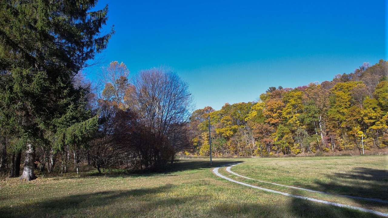 Photo of Outdoor in Elkins
