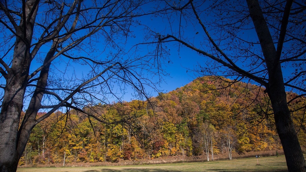 Photo of Outdoor in Elkins