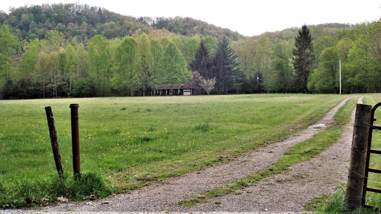 Photo of Outdoor in Elkins