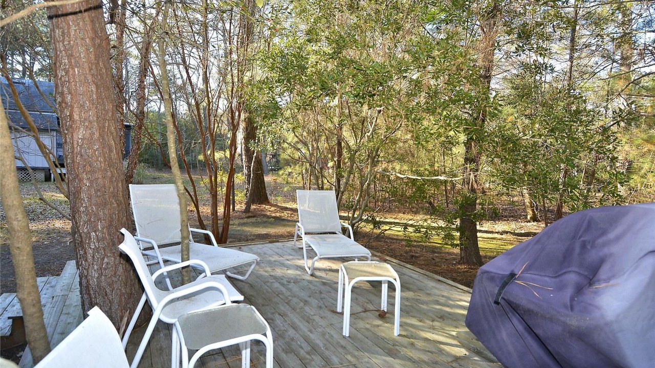Photo of Others in North Shores