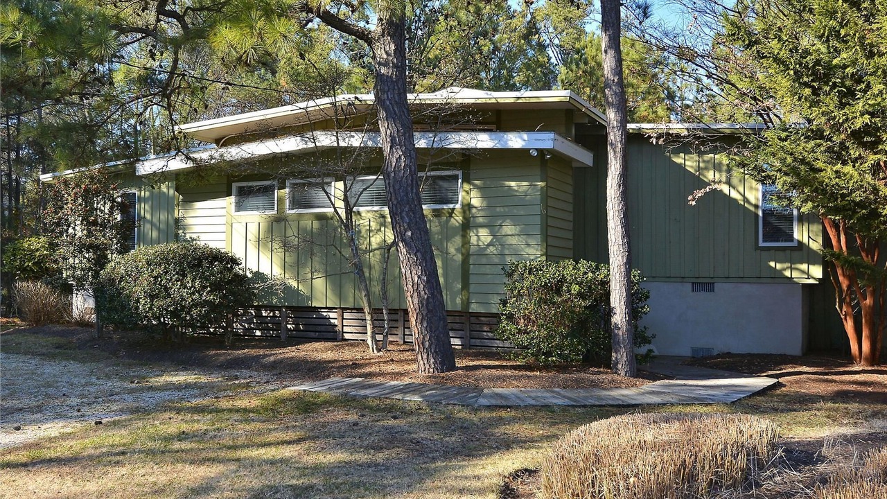 Photo of Outdoor in North Shores