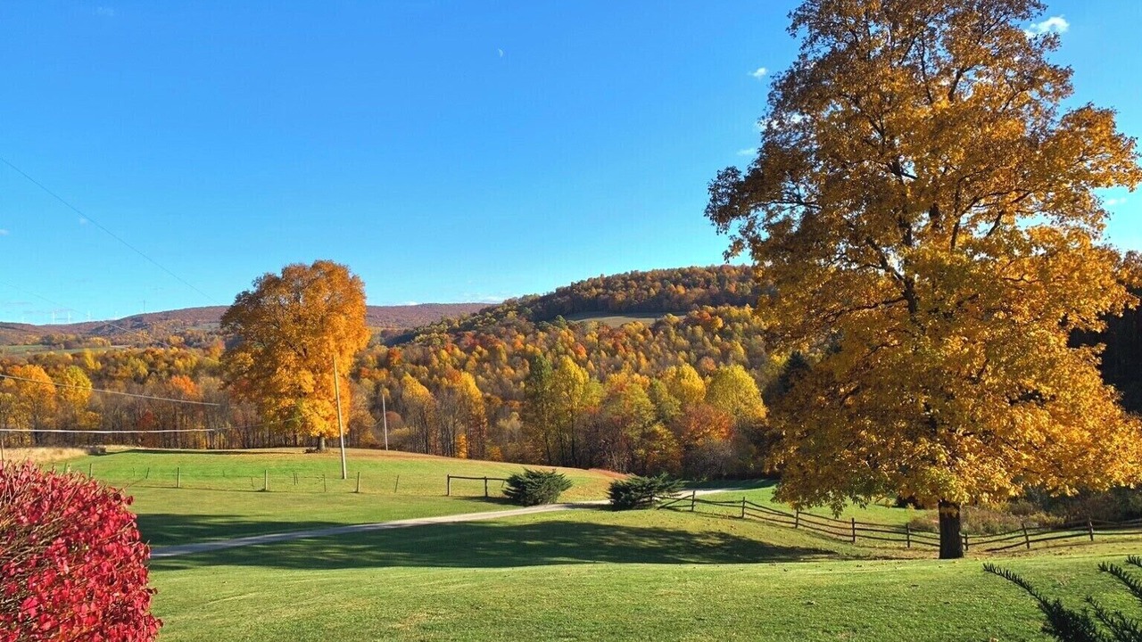 Photo of Outdoor in Mill Run