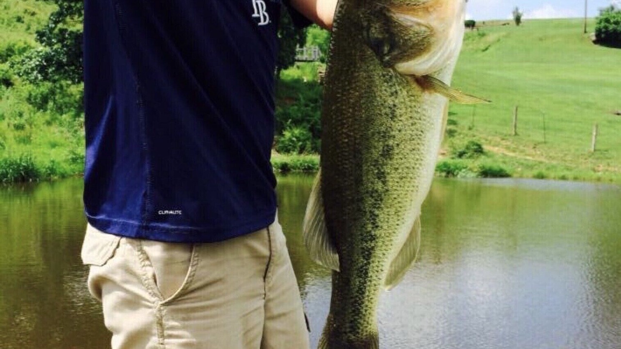 Photo of Others in Mill Run