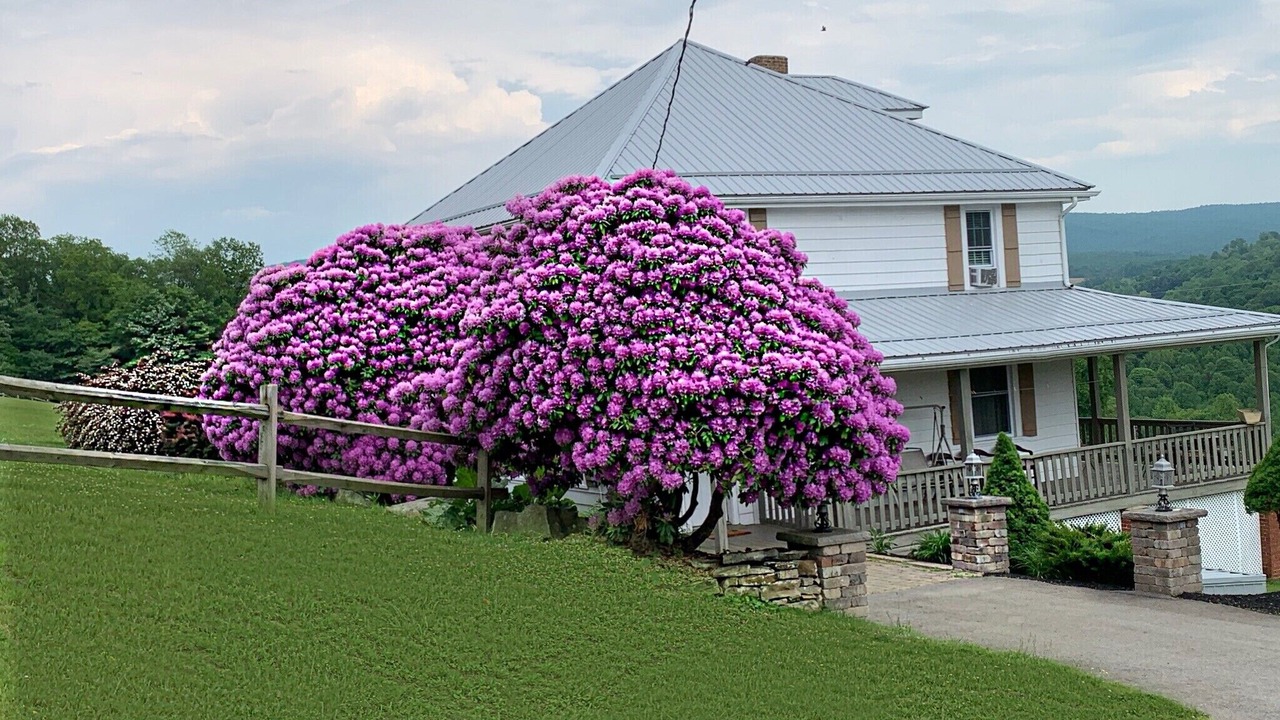 Photo of Outdoor in Mill Run