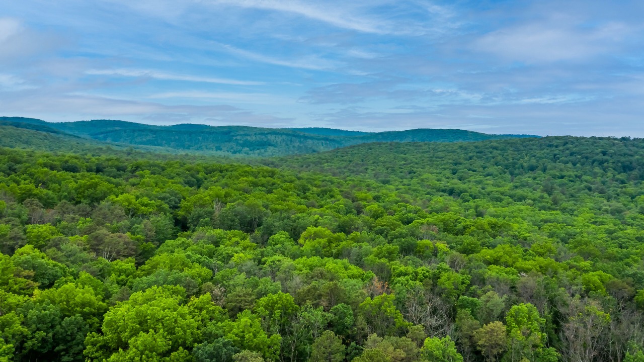 Photo of Others in Peach Glen