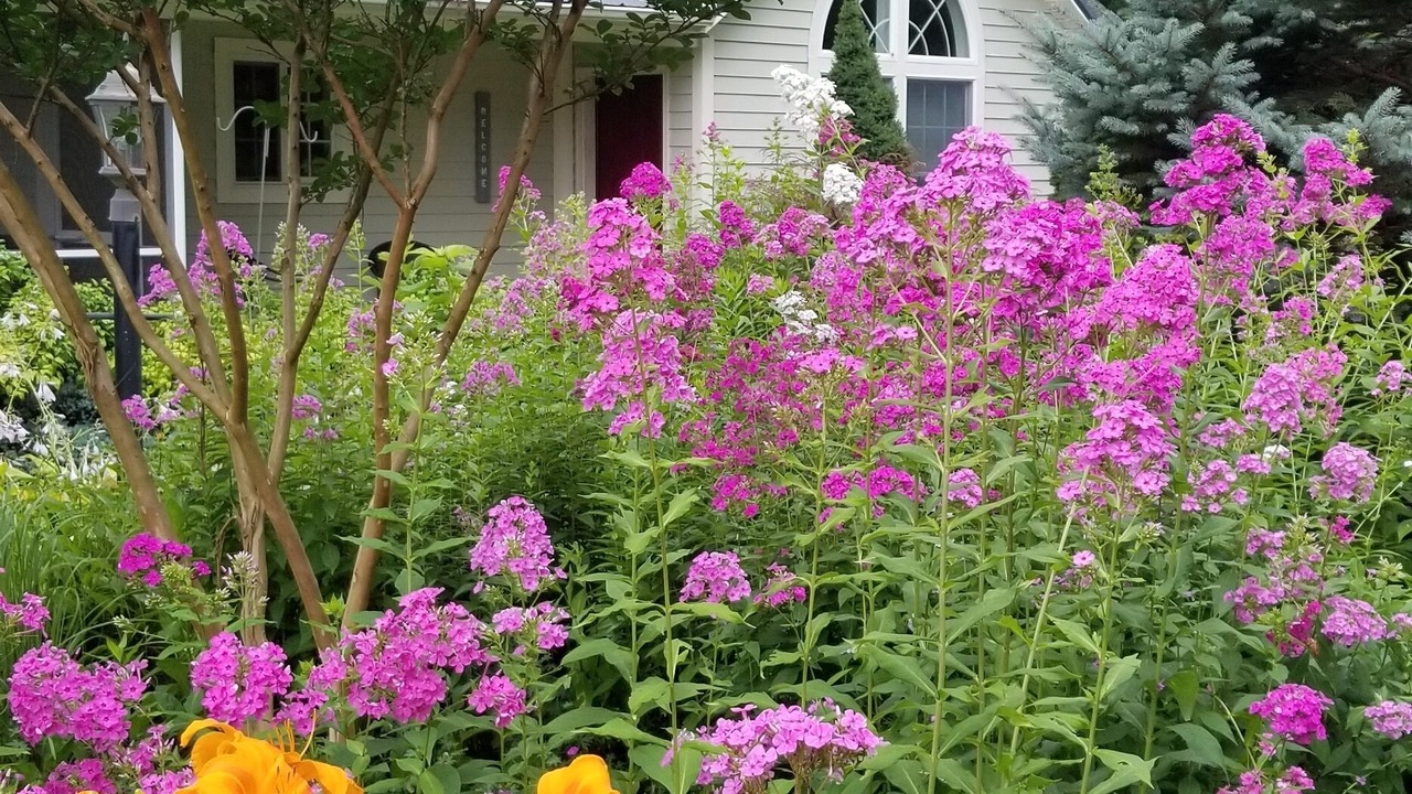 Photo of Outdoor in Milford
