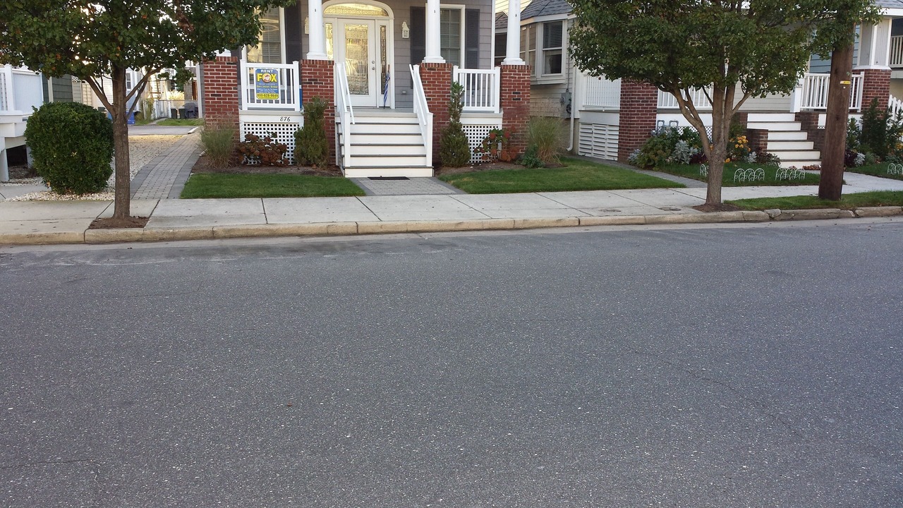 Photo of Others in North End