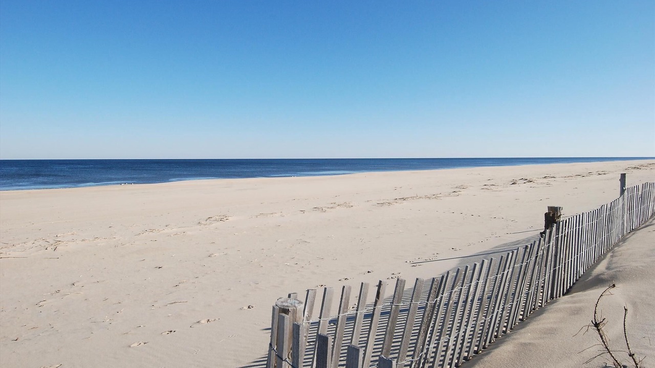 Photo of Others in Fenwick Island