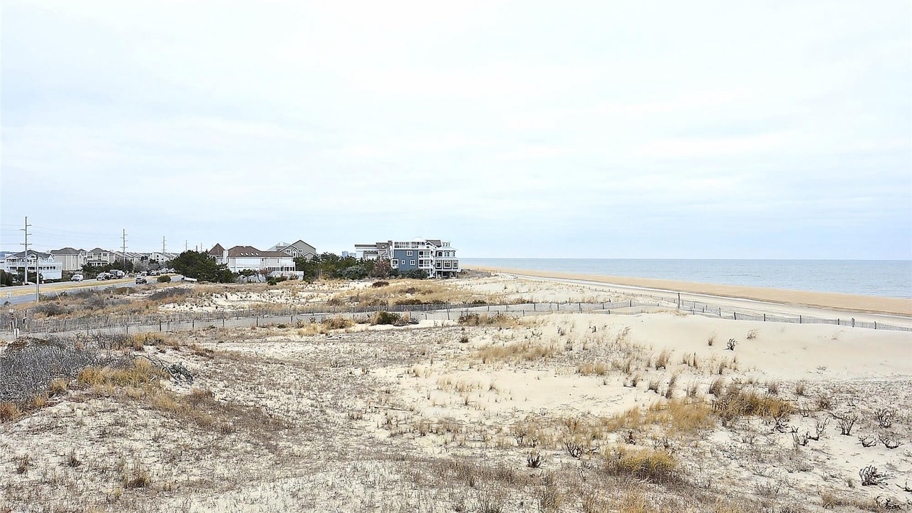 Photo of Others in Fenwick Island
