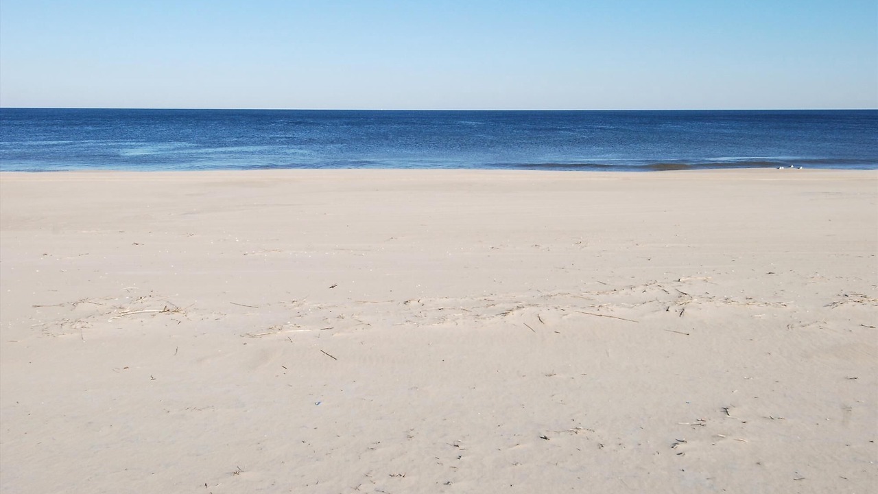 Photo of Others in Fenwick Island
