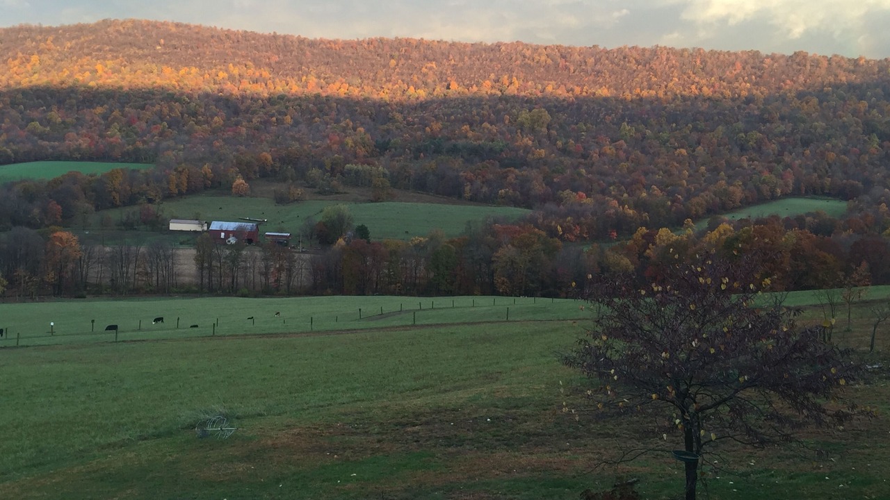 Photo of Others in Doylesburg