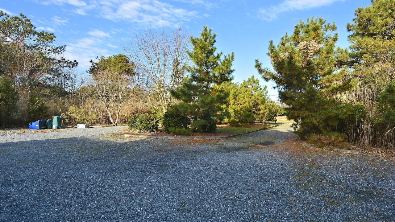 Photo of Others in North Shores
