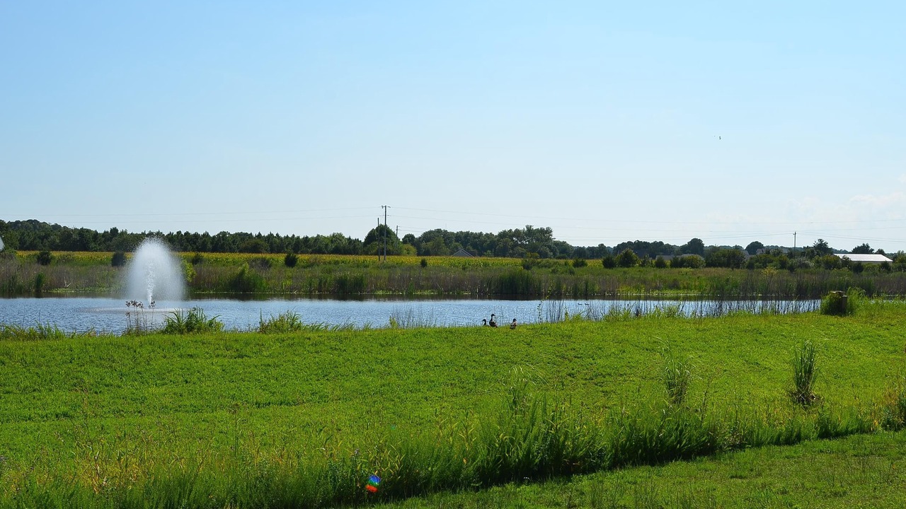 Photo of Outdoor in The Commons