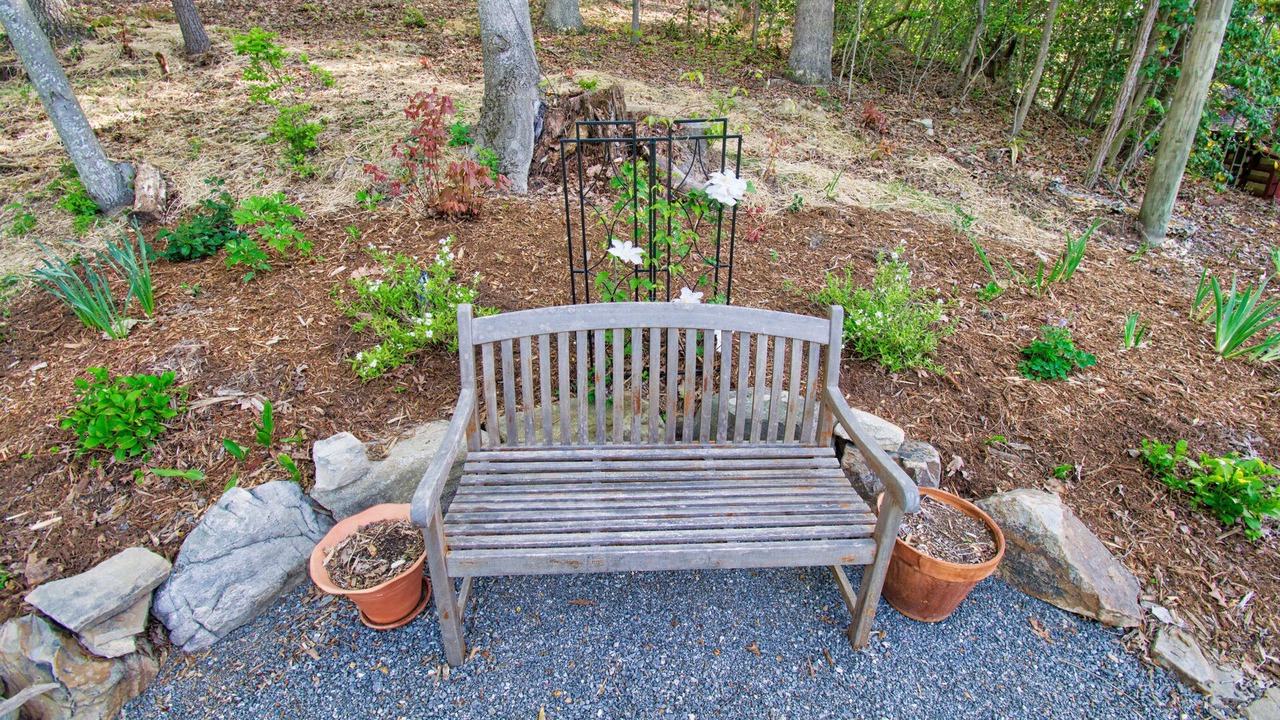 Photo of Others in Laurel Park