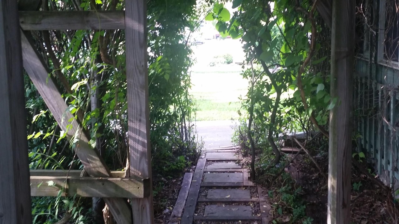 Photo of Outdoor in Allegany