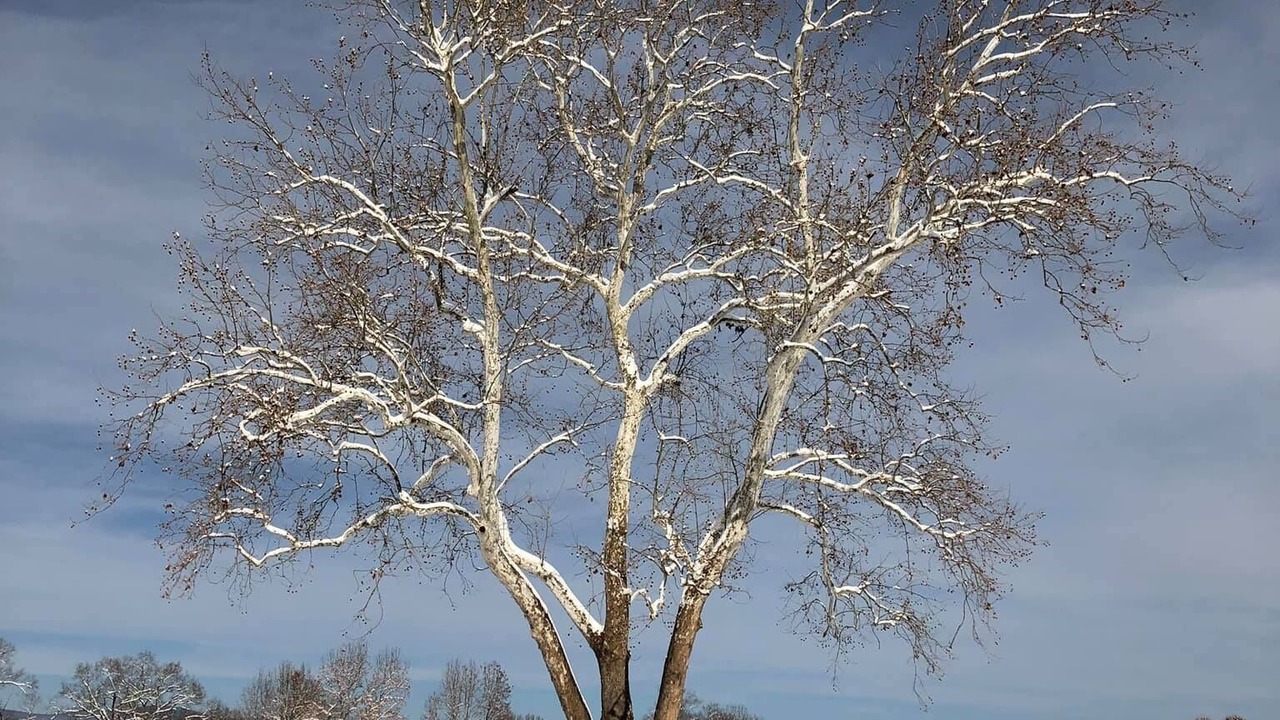 Photo of Others in Stanardsville
