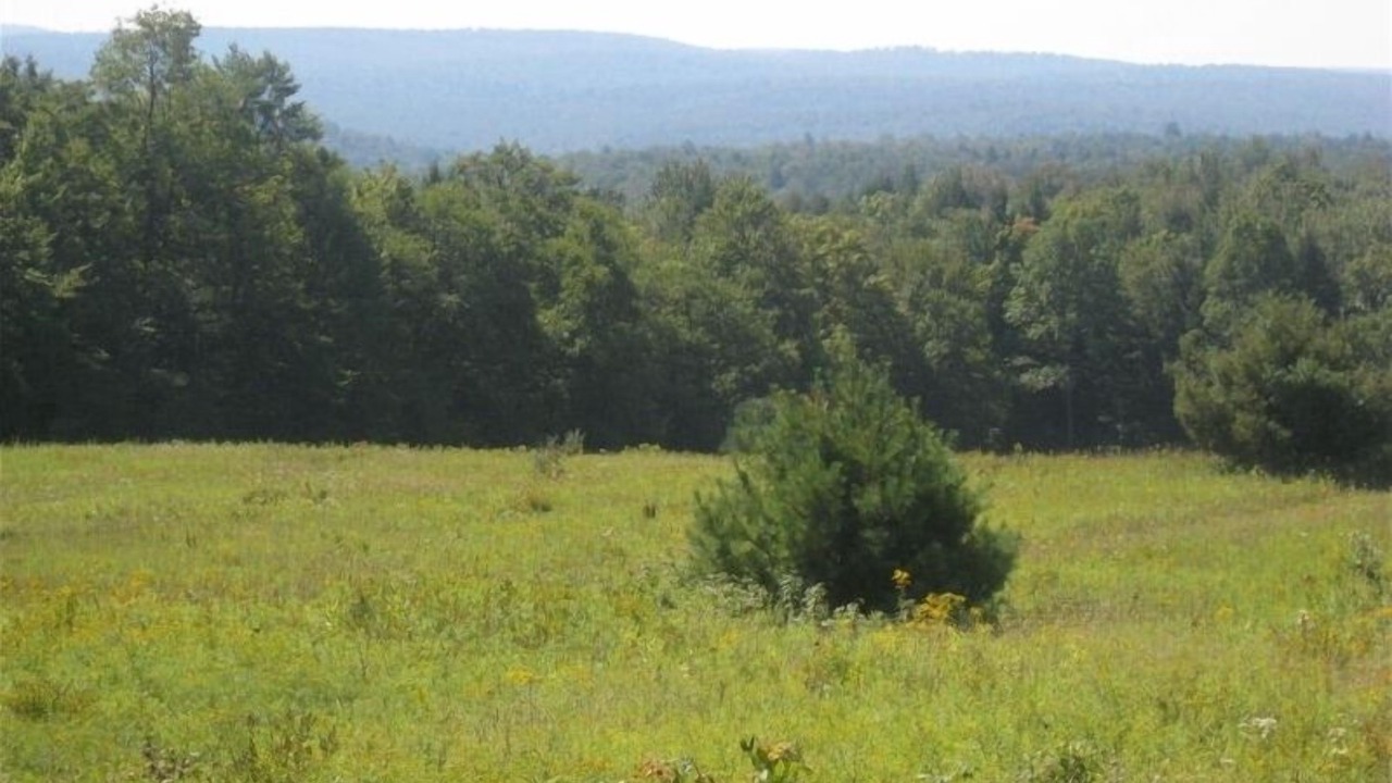 Photo of Others in Dushore