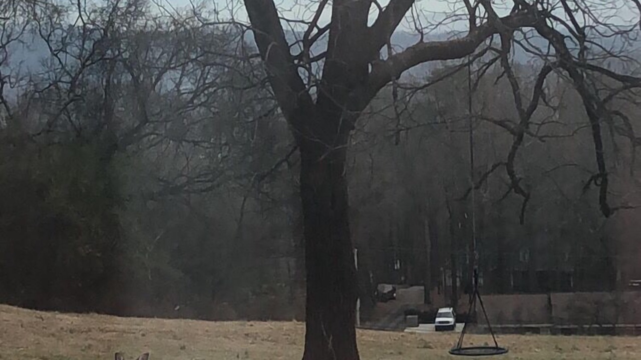 Photo of Others in Knoxville