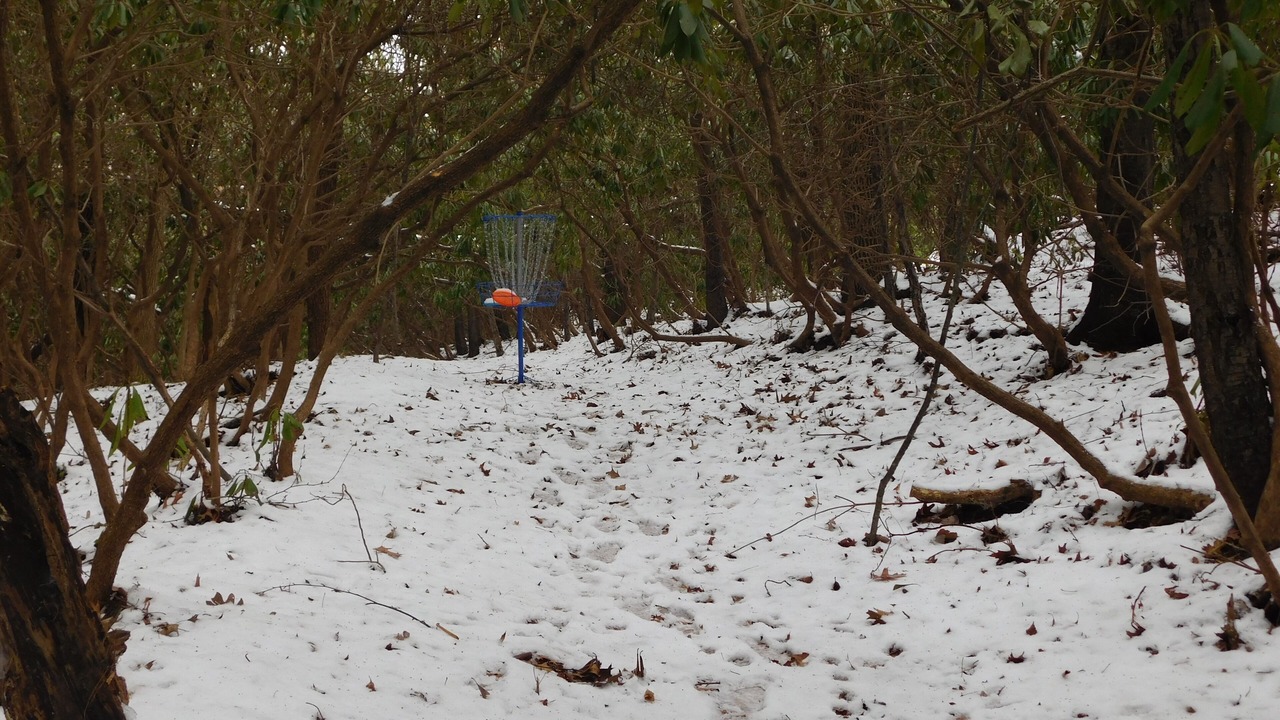 Photo of Others in Ashfield