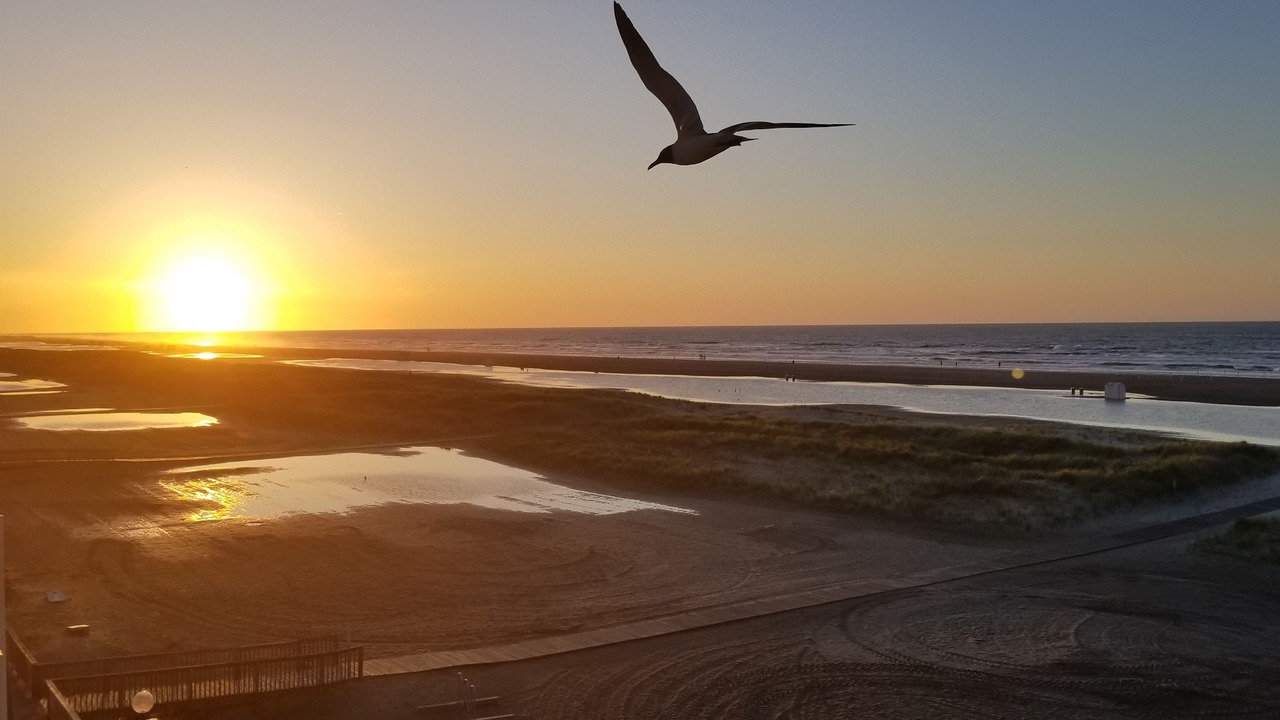 Photo of Patio Balcony in Wildwood Crest